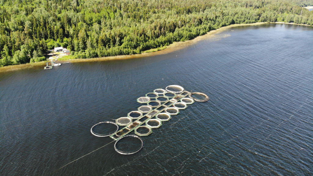 Как выбрать перспективный объект для создания аквакультурной фермы