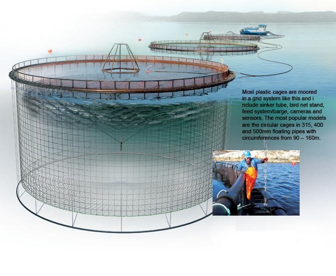 Что такое аквакультура: определение и значение \| Аквакультура --- рыбы и другие водные животные