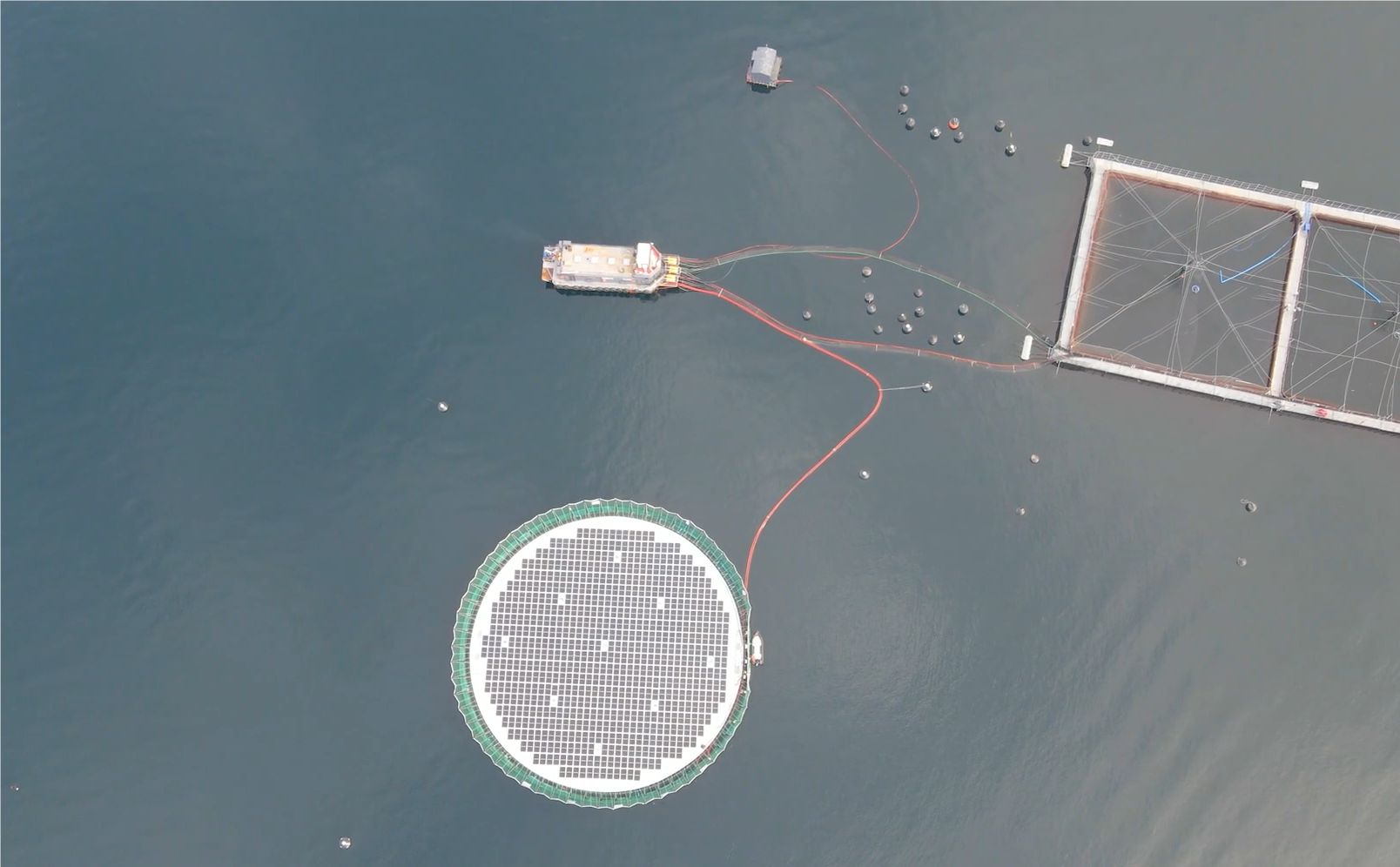 Развитие аквакультуры с использованием возобновляемых источников энергии \| Аквакультура --- рыбы и другие водные животные